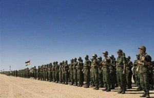 Western Sahara Forgotten Front