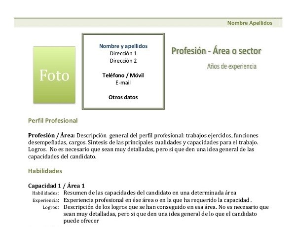 Curriculum Vitae Para Llenar