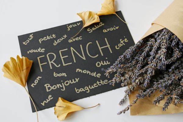 como-aprender-frances3