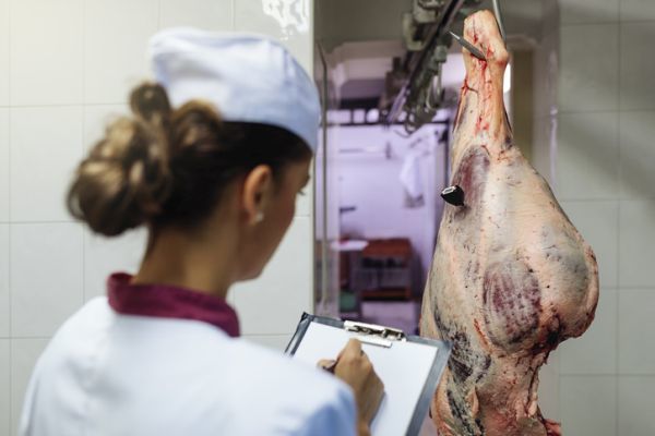 curso-de-manipulacion-de-alimentos-control-pieza-de-carne-istock