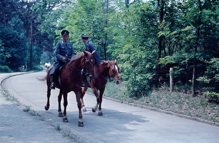 Oposiciones medio ambiente policia a caballo por bosque