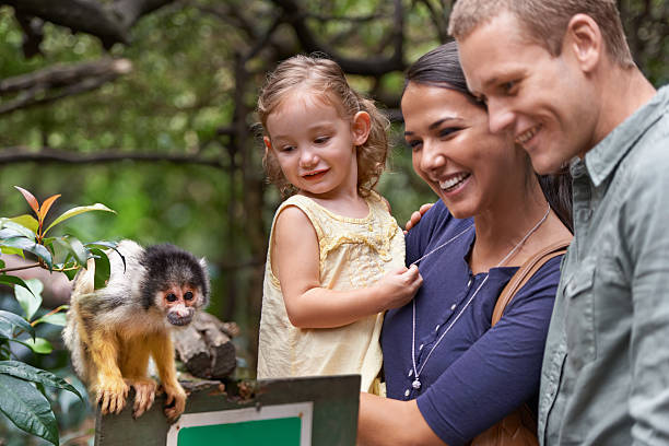 ¿Dónde se estudia zoología para poder trabajar en un ZOO